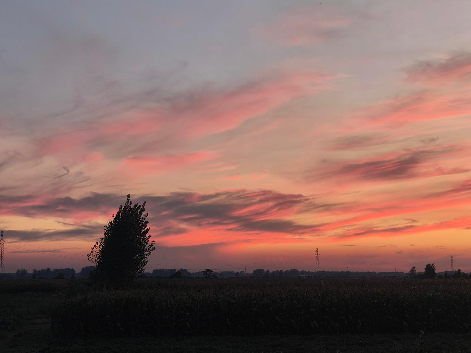 a7.jpg